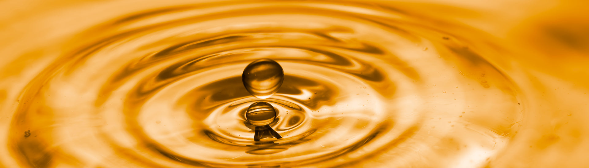 Healthy cholesterol: getting to the heart of the matter