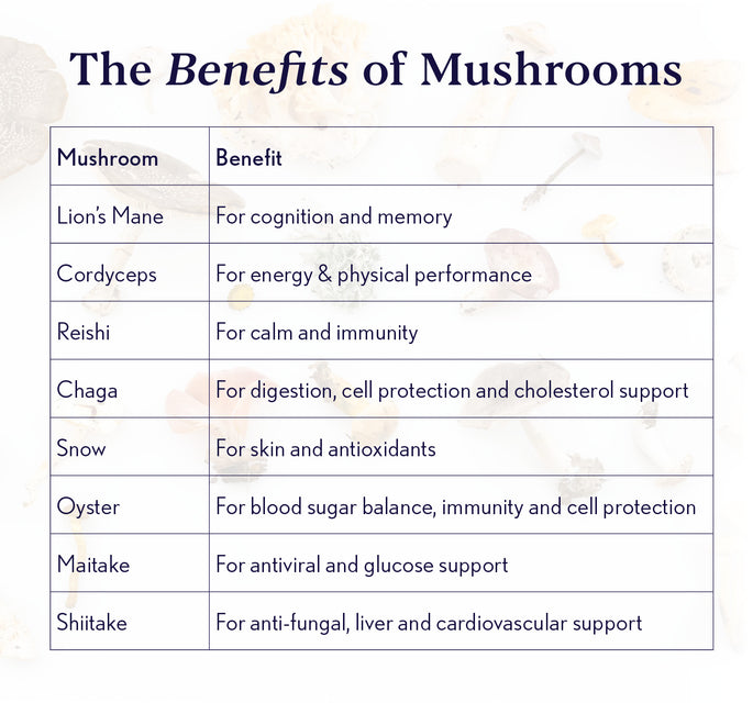 Mushroom Vitality