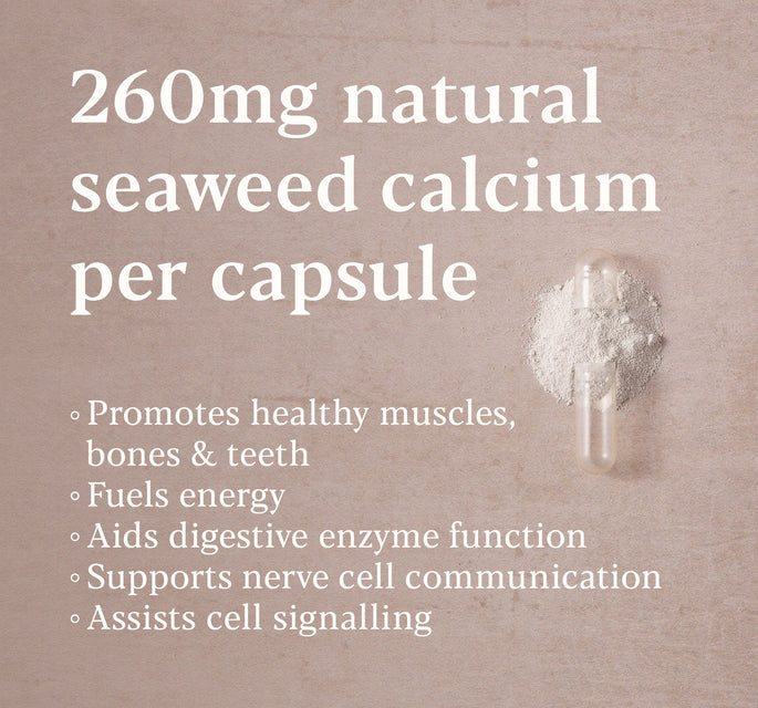 Icelandic Seaweed Calcium