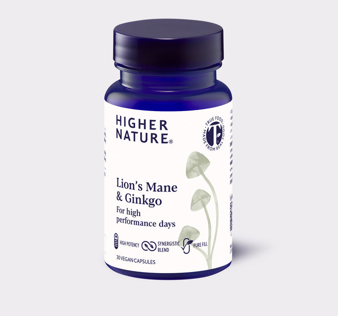 Lion’s Mane & Ginkgo