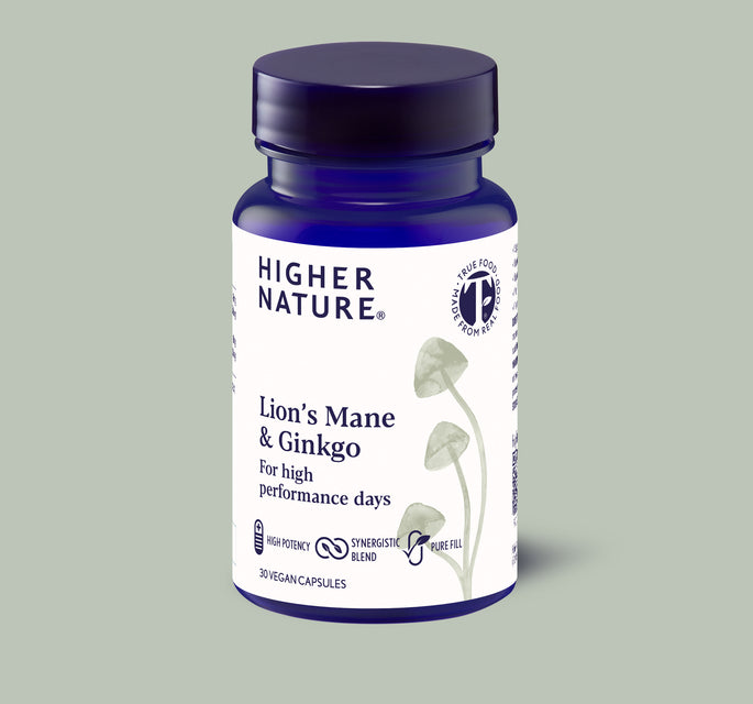 Lion’s Mane & Ginkgo