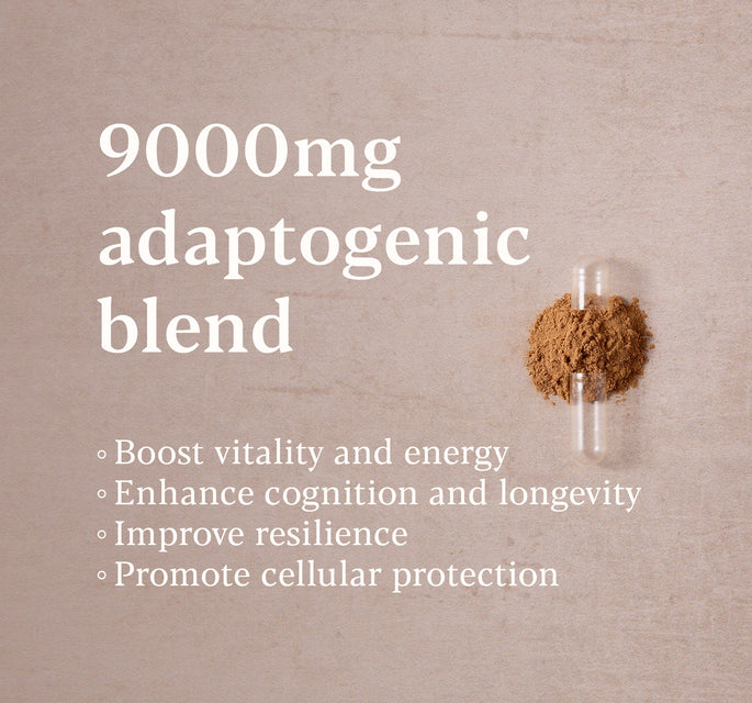 Mushroom Complex Benefits