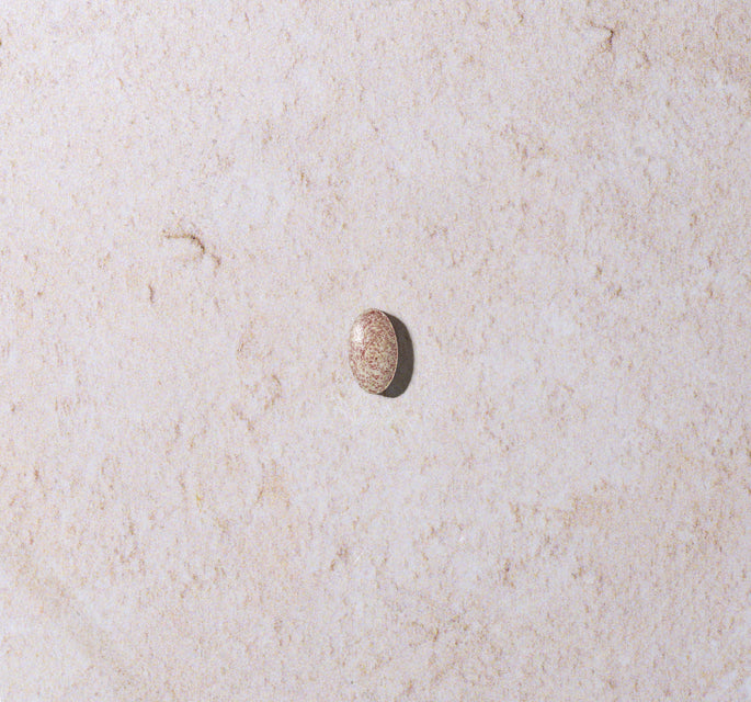 Immune Plus - Tablet Image