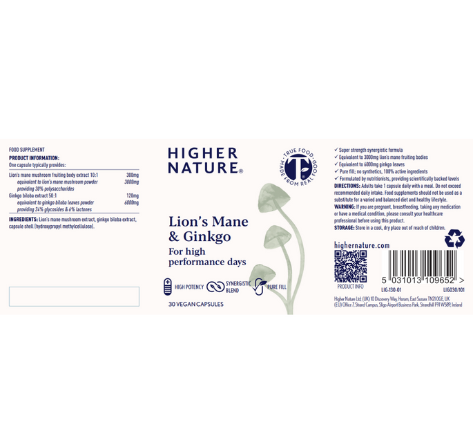 Lion’s Mane & Ginkgo