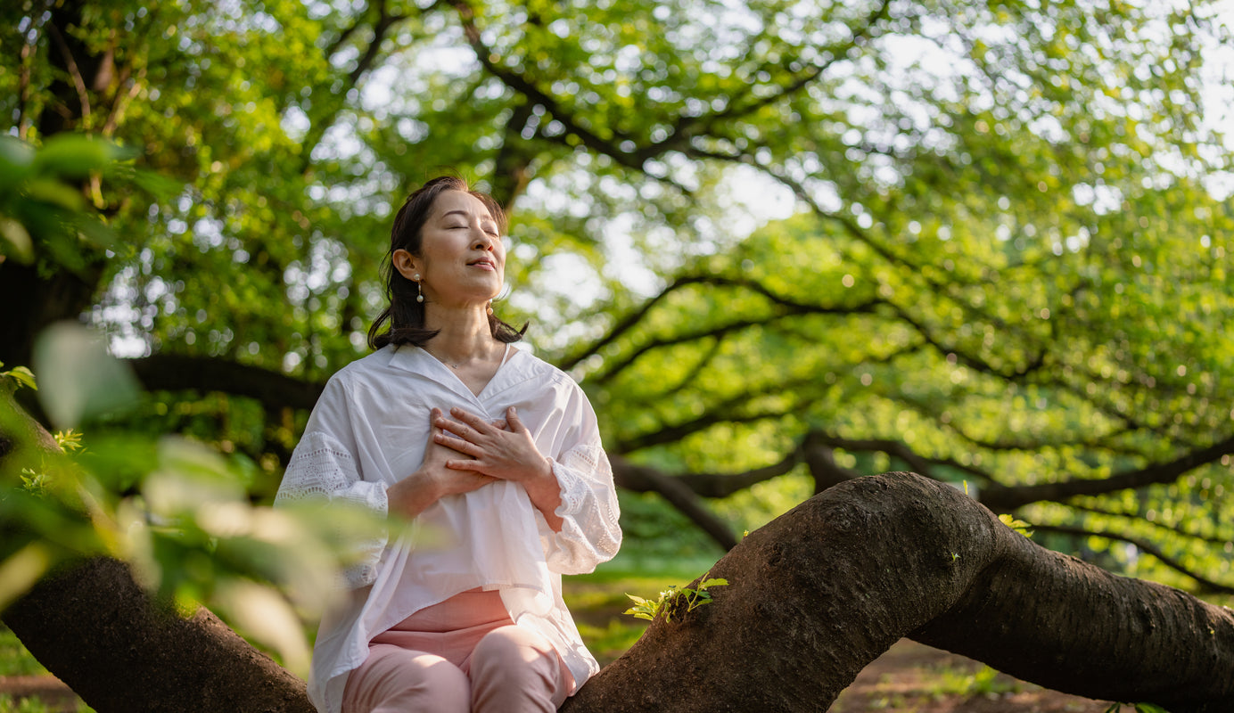 Natural Stress Solutions