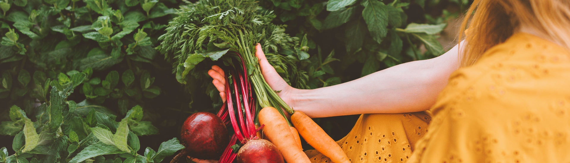 plant based supplements