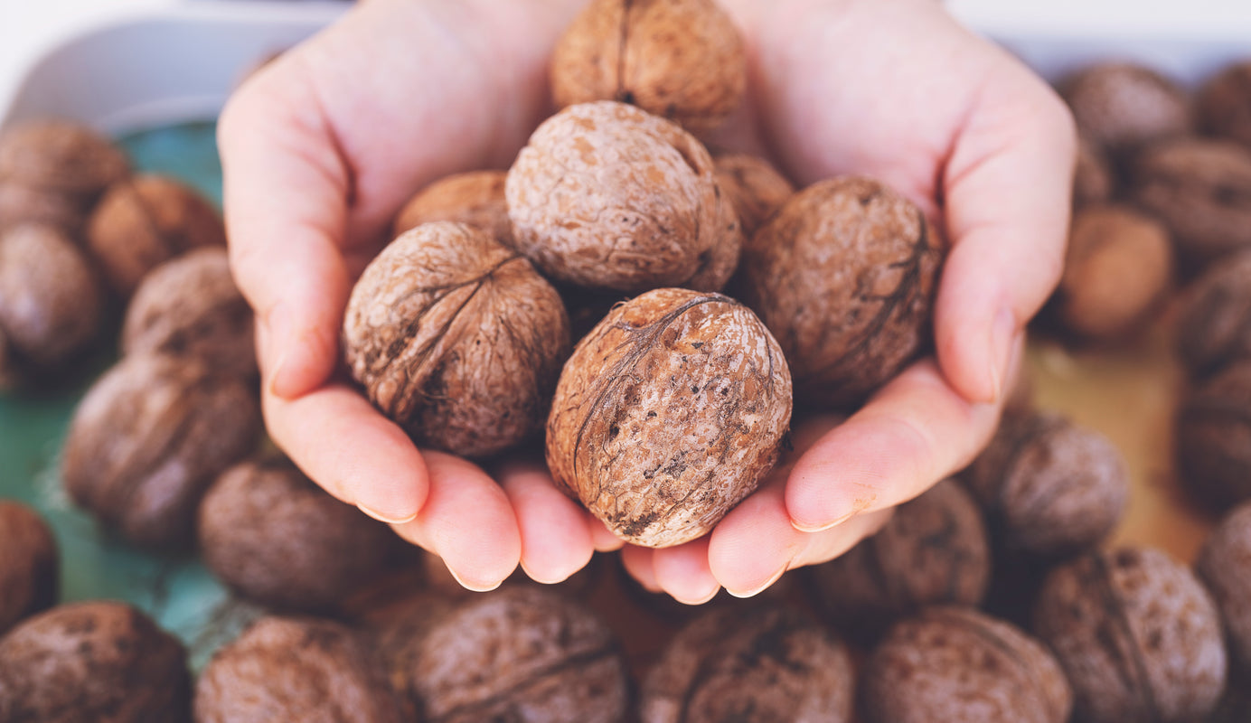 Focus on walnuts