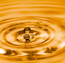 Healthy cholesterol: getting to the heart of the matter