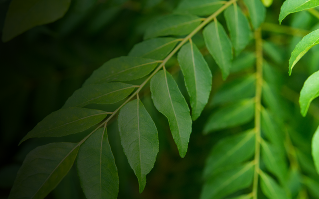 A New Era of Iron Supplementation