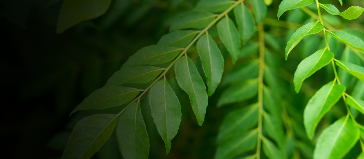 A New Era of Iron Supplementation