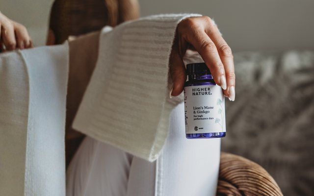 Perfect Partners: Lion’s Mane & Ginkgo Biloba