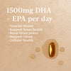 Super Potency Omega 3