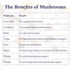 Mushroom Vitality