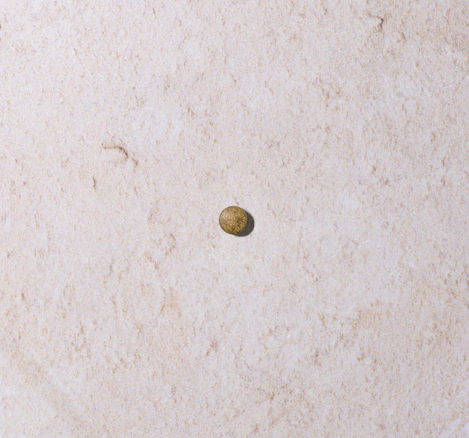 Ginkgo Biloba - Tablet Image