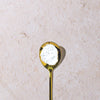 Glutamine - Powder Image