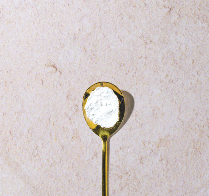 Glutamine - Powder Image
