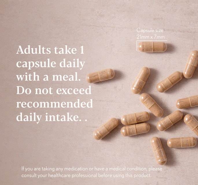 Lion’s Mane & Ginkgo