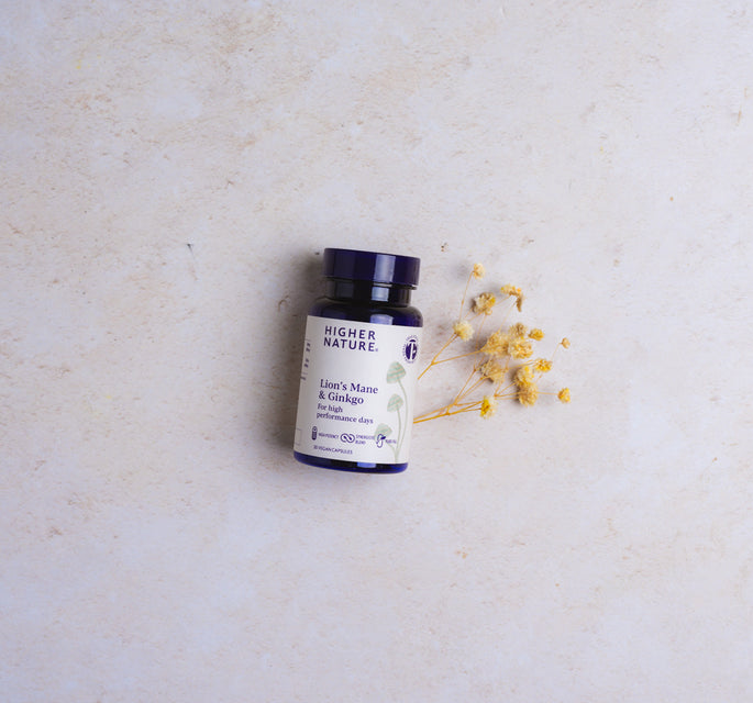 Lion's Mane & Ginkgo supplement